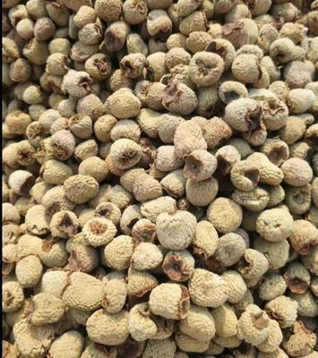 Fu Pen Zi Wholesale Raw Dry Herbal Medicine Palmleaf Raspberry Fruit for Sale