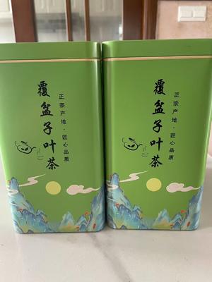 Tiancha Sweet Tea China Rubus Chingii Var Suavissimus Dried Pure Leaf Tea for Sale