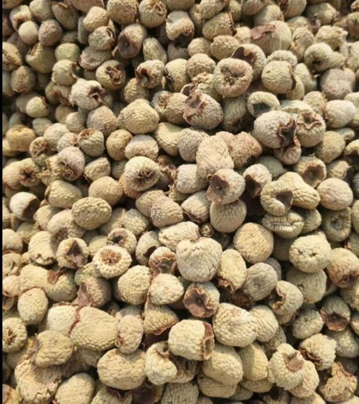 Fu Pen Zi Wholesale Raw Dry Herbal Medicine Palmleaf Raspberry Fruit for Sale